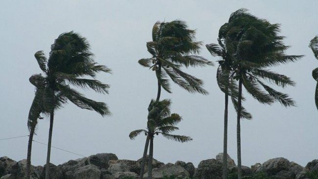 Palermitano nella morsa del maltempo: danni per il forte vento, paura per una famiglia