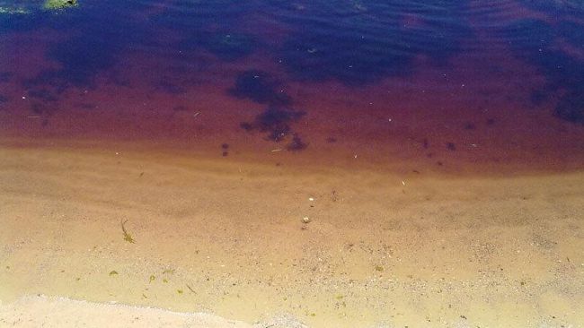 Acque rosse sul lungomare Mazzini