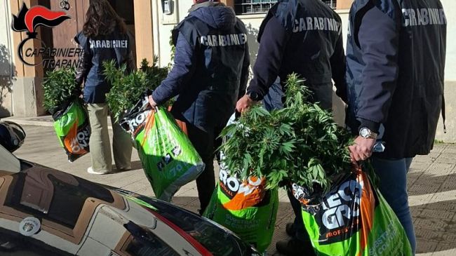 Alcamo, coltivava marijuana allacciato alla rete pubblica: arrestato 43enne palermitano