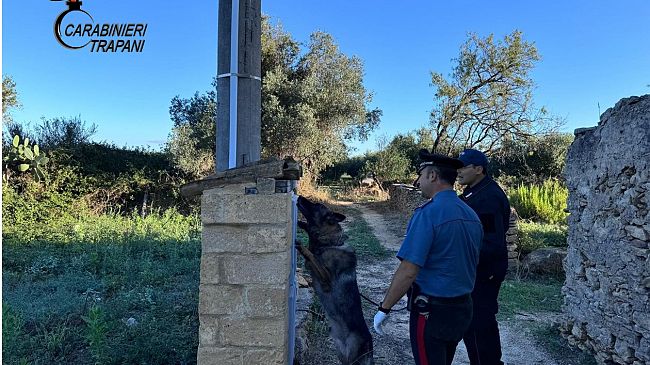 Castelvetrano, controlli dei Carabinieri in casolari abbandonati: sequestrati oltre 400 gr di sostanze stupefacenti 