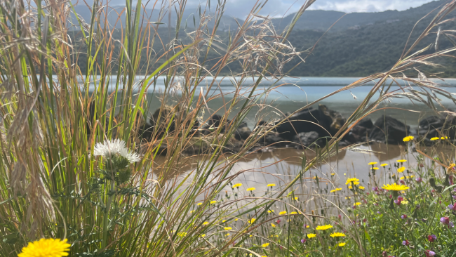 gli-auguri-di-pasqua-del-parco-nazionale-isola-di-pantelleria