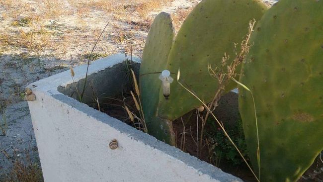 Mazara, segnalata altra siringa…Chi dovrebbe intervenire lo faccia