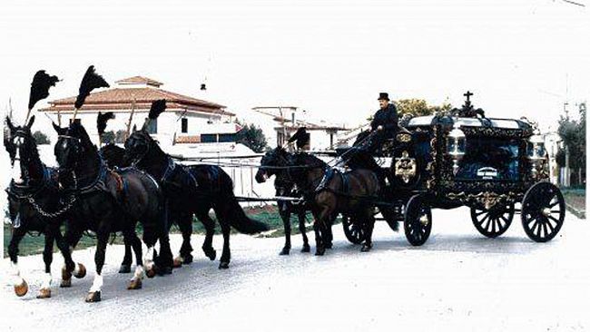 Ultime della sera. Le mie volontà.