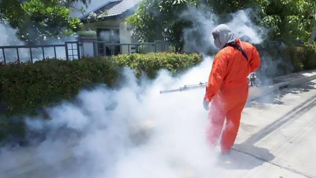 Petrosino, il 18 agosto secondo intervento di disinfestazione in via Gioberti e Garibaldi