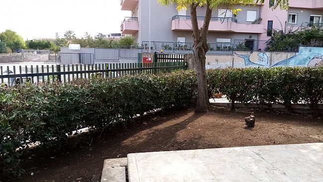 Alcamo: pulizia straordinaria delle scuole