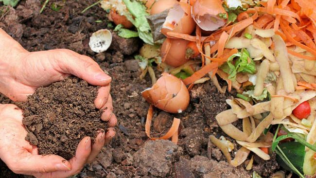 Salemi, rifiuti: tolleranza zero per gli incivili. Telecamere in azione e la città sfiora il 76,28 per cento di differenziata