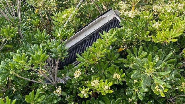 FOTO - Intorno al PalaIlio situazione critica, che fine ha fatto la bonifica?