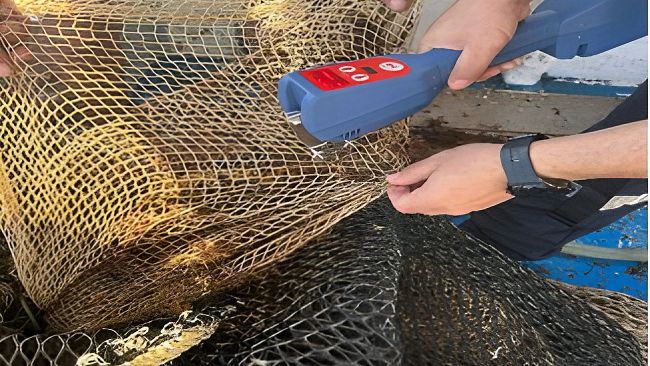 Isole Egadi, peschereccio con reti sottomisura in zona vietata: multato da 4.000 euro