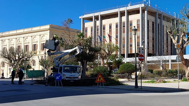 Trapani, ripresa la potatura degli alberi