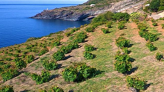 Pantelleria, dal 5 al 7 maggio evento 