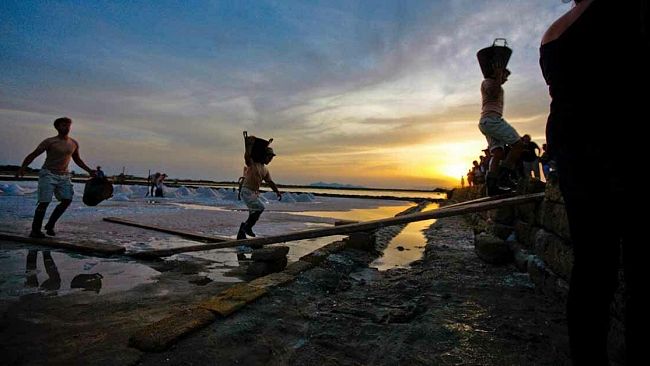 Torna “Rosso Aglio e Bianco Sale”: il 1 e 2 settembre eventi, visite guidate e degustazioni all’interno della riserva naturale delle Saline di Trapani e Paceco