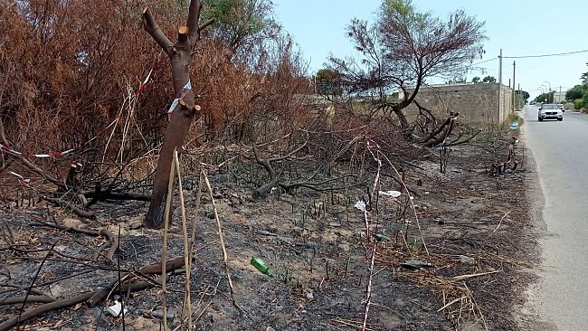 Abbandono e incendio di rifiuti: l’Amn Castiglione sporge denuncia contro ignoti