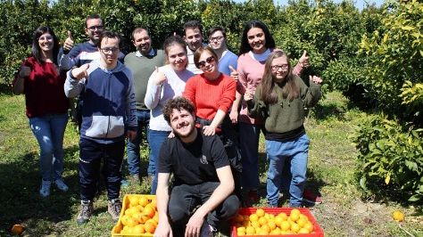 Catania. Beni confiscati alla mafia, continua la raccolta solidale di arance nel segno dell'inclusione sociale