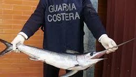 Pesce spada: vietata la pesca a marzo. Le ragioni e le sanzioni