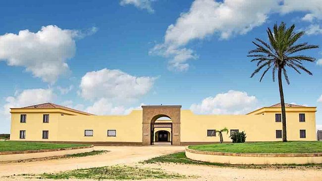 Mazara, Cantine Aperte: una domenica di festa per chi ama il vino e la natura