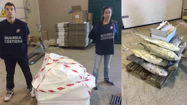 Mazara, Capitaneria di porto sequestra oltre 250 kg di prodotti ittici irregolari