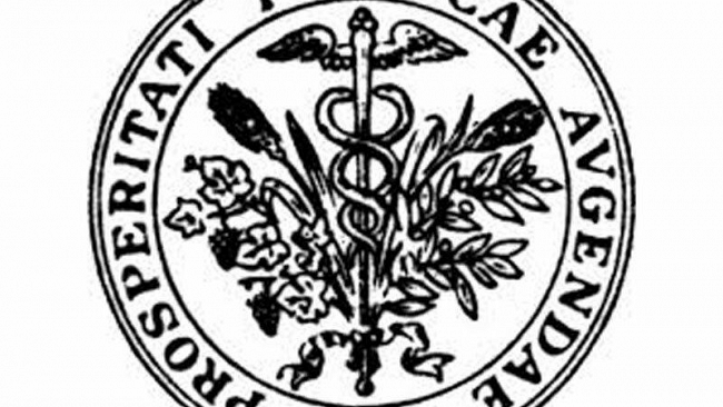 L’Accademia dei Georgofili organizza un convegno sull’olivicoltura