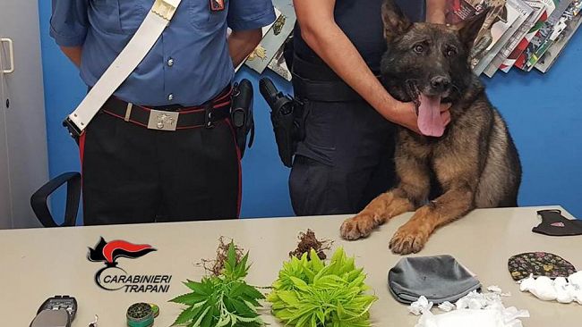 Trapani: droga sequestrata dai Carabinieri. Una denuncia