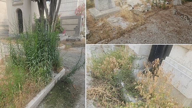 ​Trapani, al cimitero “spettacolo desolante di abbandono totale”