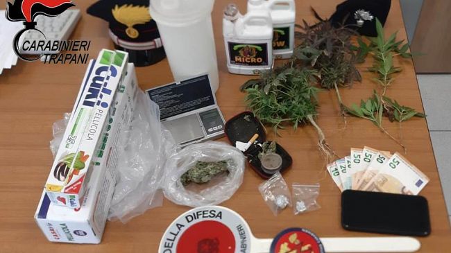 Alcamo, coltiva marijuana per spacciarla: arrestato 38enne