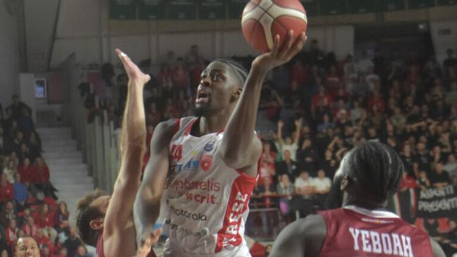 Trapani Shark, granata attivi sul mercato