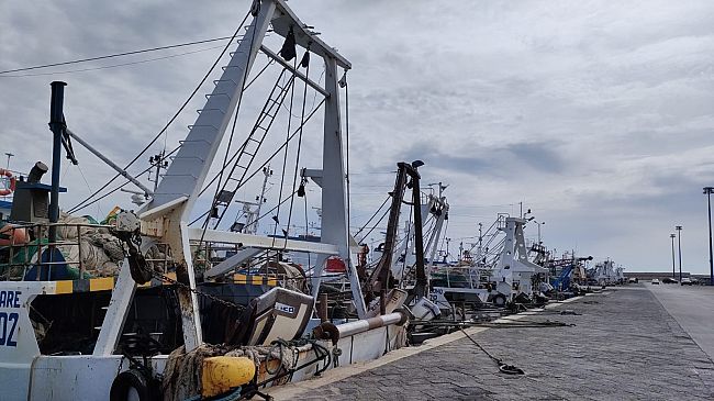 Pesca, l’assessore Scilla firma il fermo biologico 2022