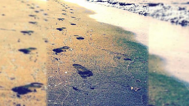 Bisognerebbe imparare ad usare bene le parole