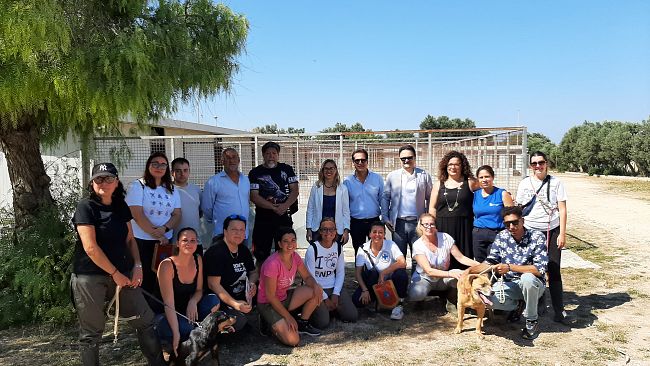 lamministrazione-patti-ringrazia-le-associazioni-animaliste-in-servizio-al-canile-comunale