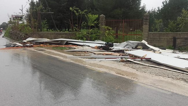 Pellegrino(FI):“Ho chiesto al Presidente Musumeci lo Stato di calamità naturale