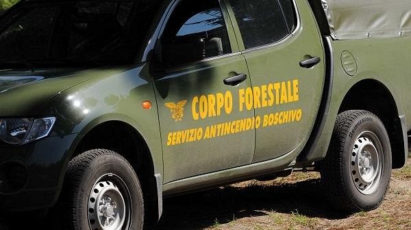 mazara/forestali-ugl-lars-sblocca-64-milioni-per-contrasto-incendi-in-sicilia