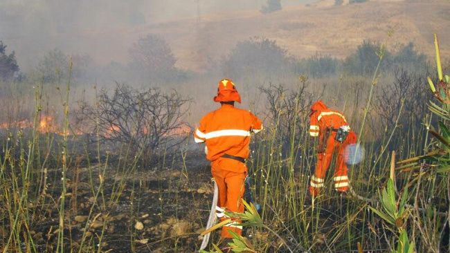 Palermo. Cracolici incontra Poletti sulla riforma dei forestali.
