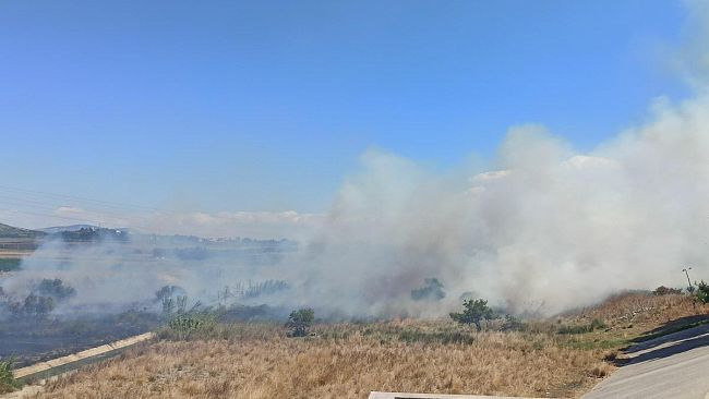 Trapani, incendio lungo la Via Erice Mazara nei pressi dello svincolo per Paceco