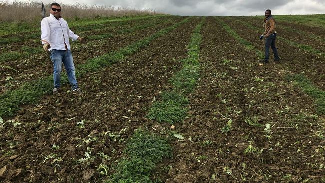 Agricoltura sociale: a Calatafimi un progetto per la coltivazione di erbe aromatiche