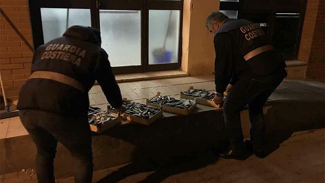 Trapani, blitz della Guardia Costiera al porto peschereccio