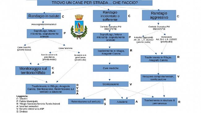 Mazara, protocollo operativo per il prelievo ed il soccorso dei cani randagi