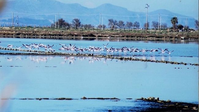 Stagnone di Marsala,