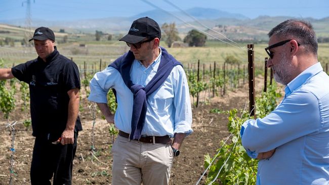 Trapani, Feudo del Balio al Merano WineFestival 2025