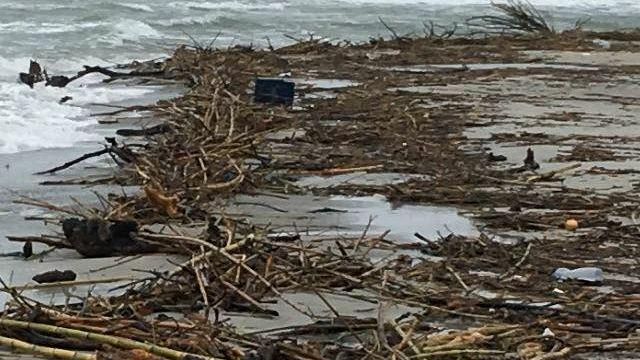 Mazara, Bascone (SIB) scrive al Sindaco Cristaldi sui detriti in spiaggia provenienti dal fiume Delia.