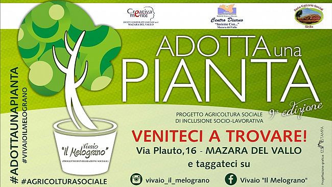 Mazara, adotta una pianta con “Creativamente” ed il vivaio “Il Melograno”