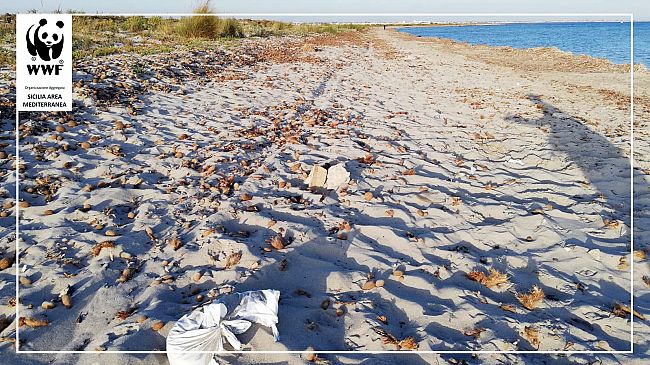 Mazara, regolamentata la fruizione dell’Oasi di Capo Feto