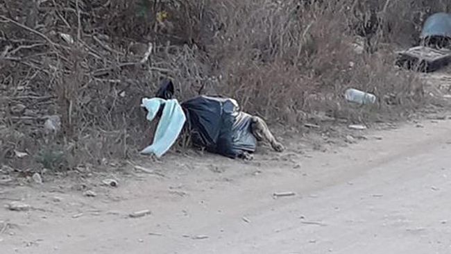 Mazara, cittadino segnala da qualche giorno al Comune carcassa di cane in decomposizione in c/da Bocca Gilletto