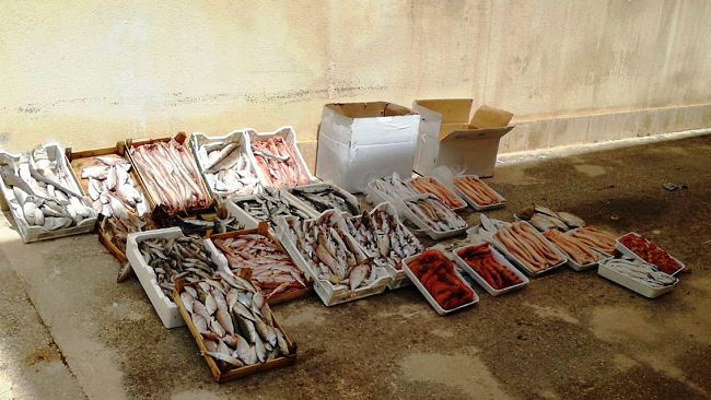 Mazara, operazione della Polizia Municipale in piazzetta dello Scalo: sequestrati 122 kg di prodotto ittico ad abusivi
