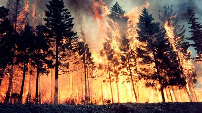 Vigili del Fuoco: Vasto incendio sul Monte Erice e 27 altri interventi per incendi nel territorio della Provincia di Trapani