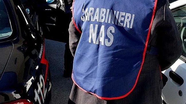 Controlli dei Nas dei Carabinieri  4 persone denunciate e sanzioni per oltre 5 mila euro