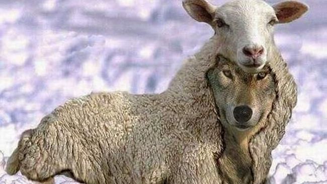 “Una punta di Sal”. Politica oggi: l’apparenza nemica del fare