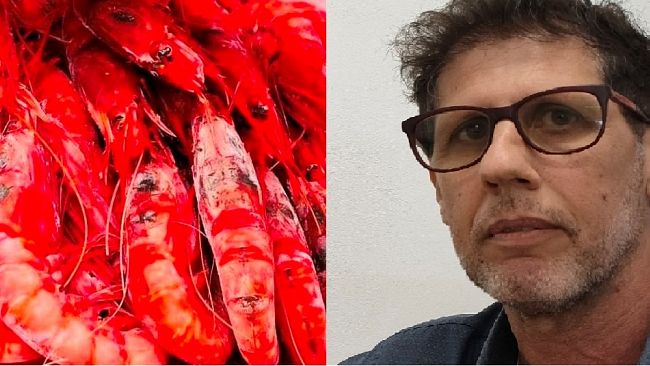 Nuovo Regolamento Ue su pesca gambero rosso, Giacalone (OP Blue Sea): 