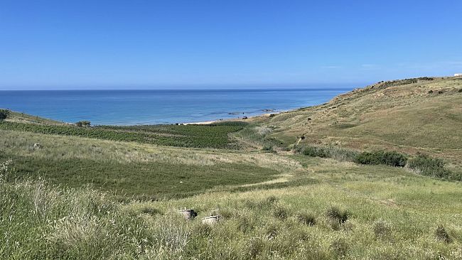 Conferenza stampa e degustazione sui vini di Menfi 