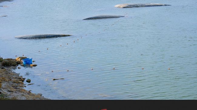 Mazara, posiziona rete da pesca all’interno della “Colmata B”: sanzionato dalla Capitaneria di porto. 