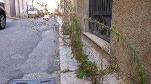 Mazara, discerbatura di strade e piazze grazie al lavoro di ex detenuti e disoccupati