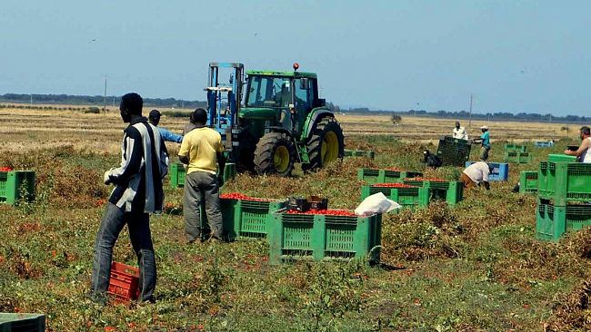 Contrasto al caporalato ed emersione lavoro nero in agricoltura. Scoperti 10 lavoratori in nero su 19 presenti. Sanzioni amministrative per oltre 46.000 Euro.